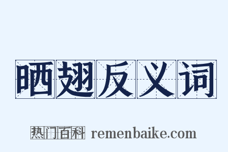晒翅反义词是什么意思的图片